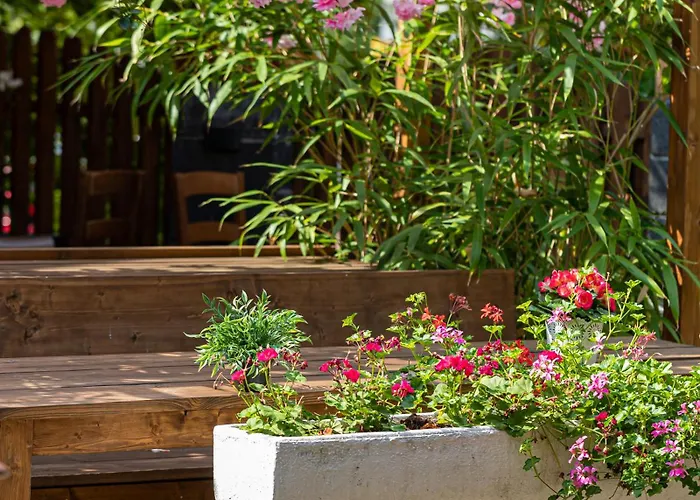 Hotel Petit Am Wannsee Hotell Berlin